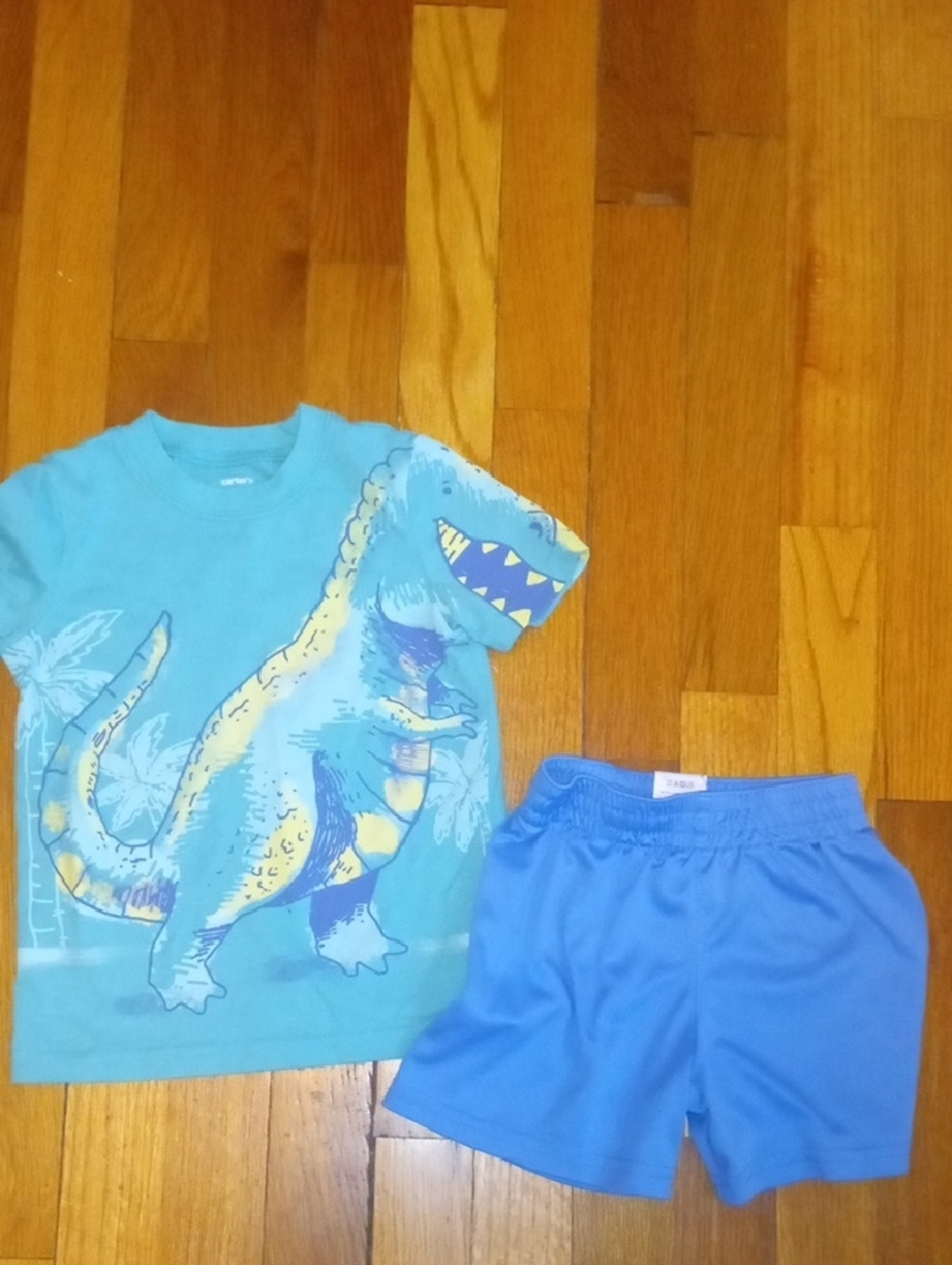 boys 2t dinosaur graphic tee and blue drifit shorts